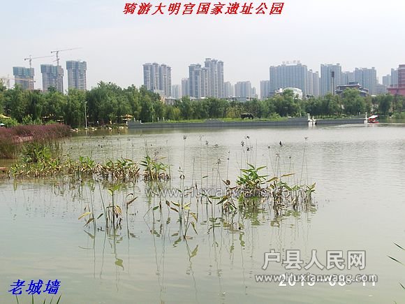 nEO_IMG_PHOT0020.jpg