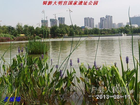 nEO_IMG_PHOT0029.jpg