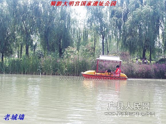 nEO_IMG_PHOT0031.jpg