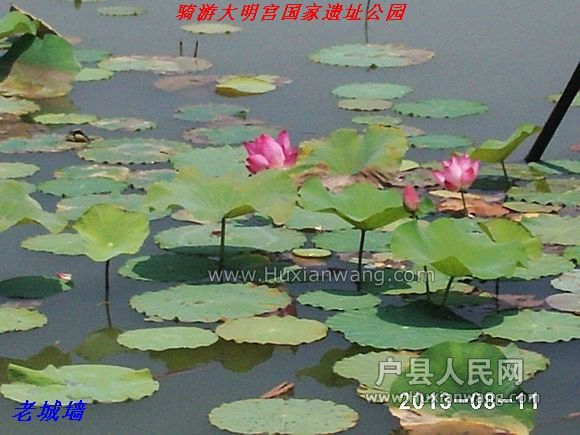 nEO_IMG_PHOT0052.jpg