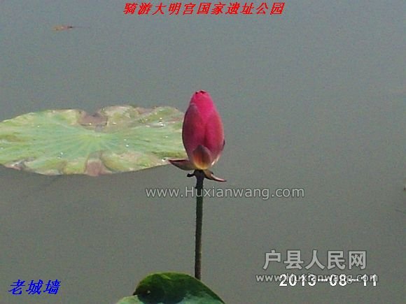 nEO_IMG_PHOT0062.jpg