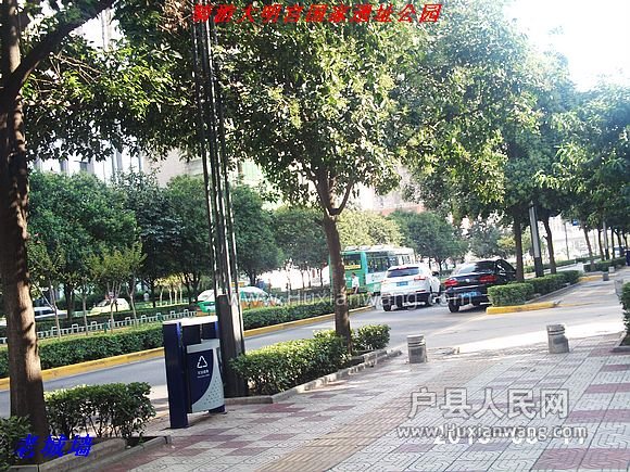 nEO_IMG_PHOT0131.jpg