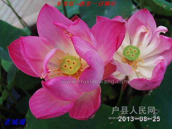 nEO_IMG_PHOT0021.jpg