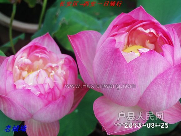 nEO_IMG_PHOT0022.jpg