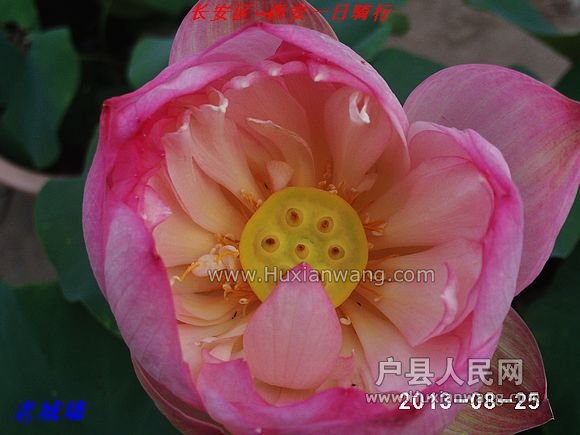 nEO_IMG_PHOT0024.jpg