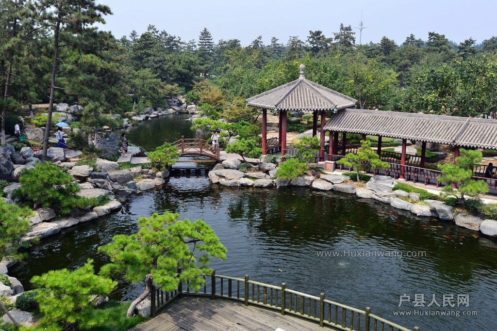 DSC_7830.JPG