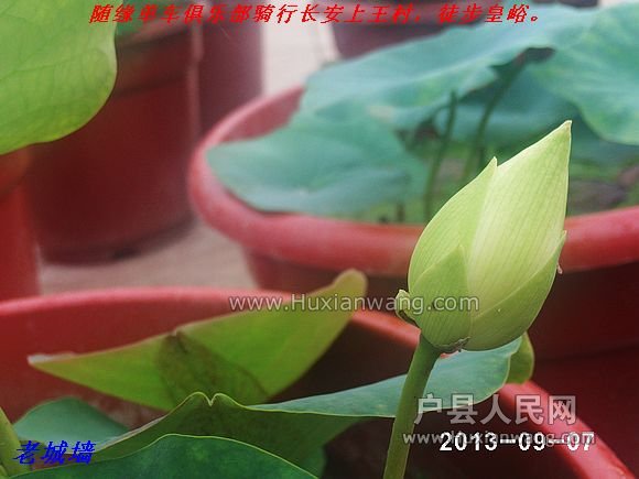 nEO_IMG_PHOT0063.jpg