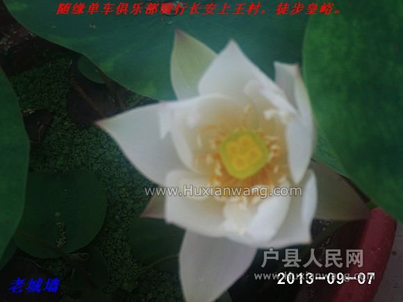 nEO_IMG_PHOT0060.jpg