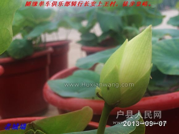 nEO_IMG_PHOT0064.jpg