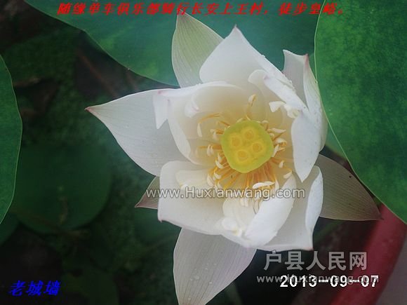nEO_IMG_PHOT0061.jpg