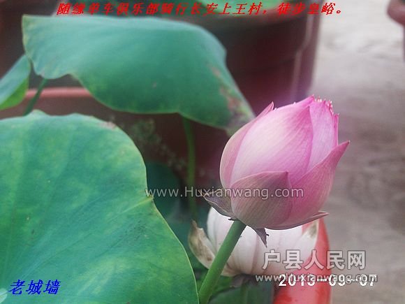 nEO_IMG_PHOT0062.jpg