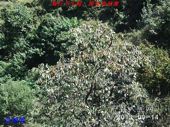 nEO_IMG_PHOT0020.jpg