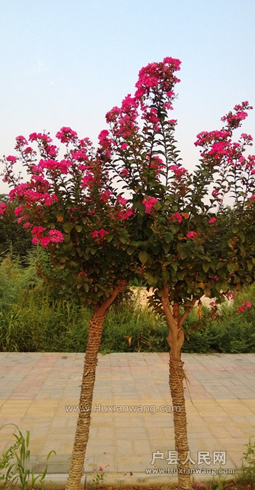 WP_20130901_011_.jpg