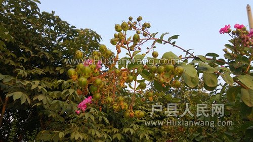 WP_20130901_018_.jpg