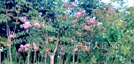 WP_20130913_010_.jpg
