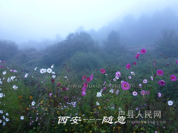 P1060814.jpg