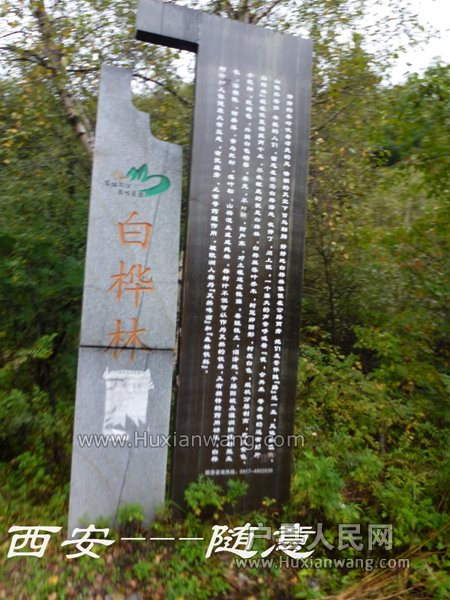 P1060831.jpg