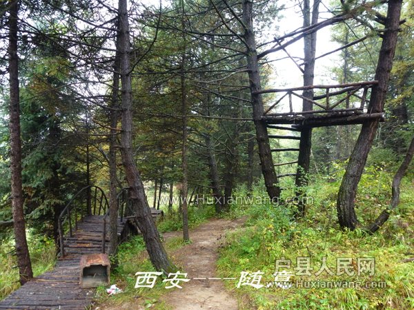 P1060842.jpg