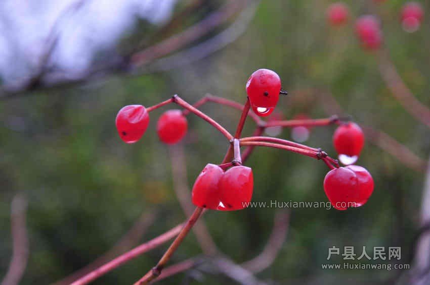 QQͼƬ20131019063036.jpg