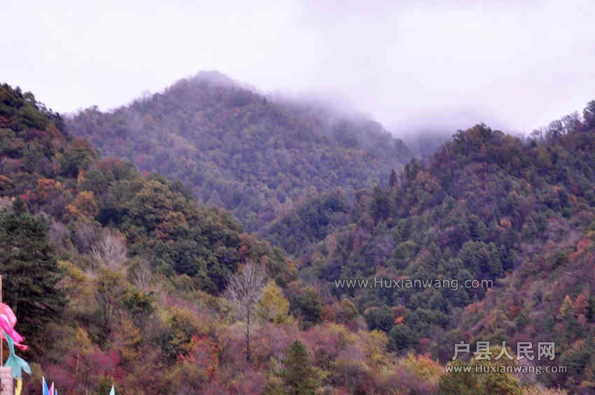 QQͼƬ20131019063113.jpg