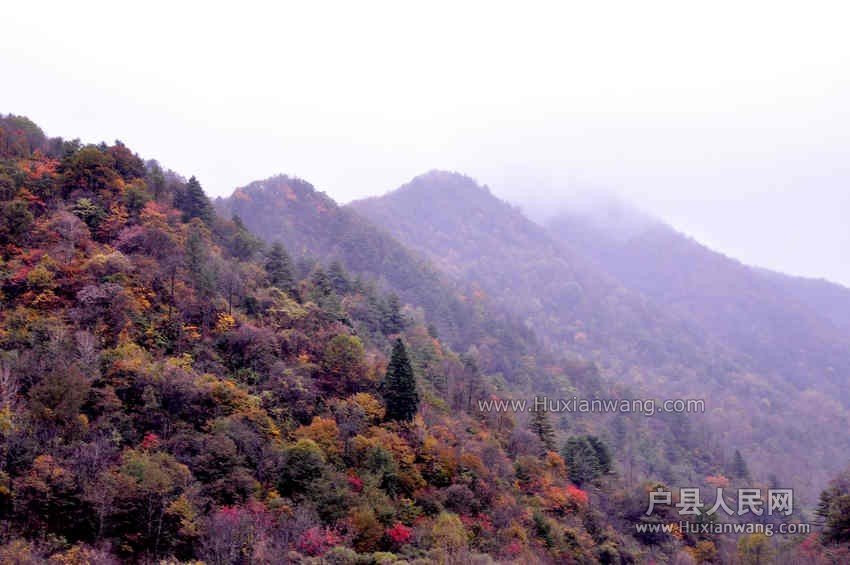 QQͼƬ20131019063202.jpg
