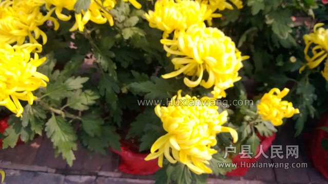WP_20131017_004.jpg