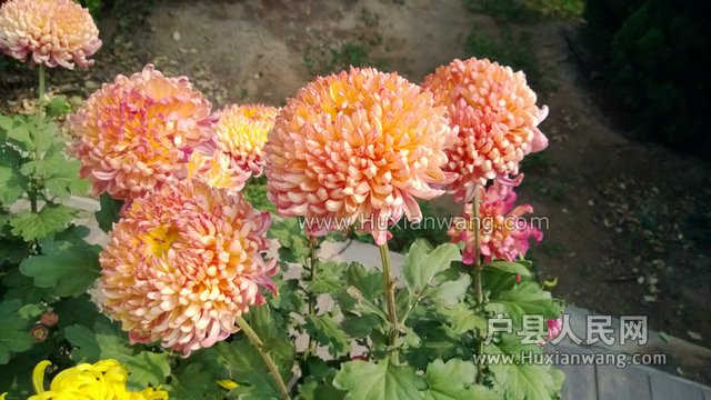 WP_20131017_006.jpg