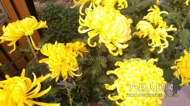 WP_20131017_023.jpg