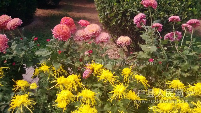 WP_20131017_024.jpg