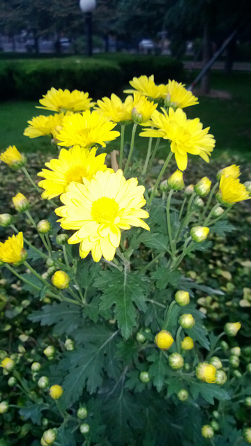WP_20131018_022.jpg