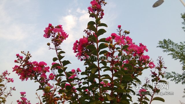 WP_20130901_005.jpg