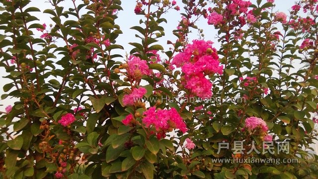 WP_20130901_007.jpg