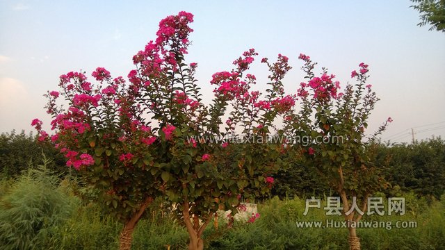 WP_20130901_009.jpg