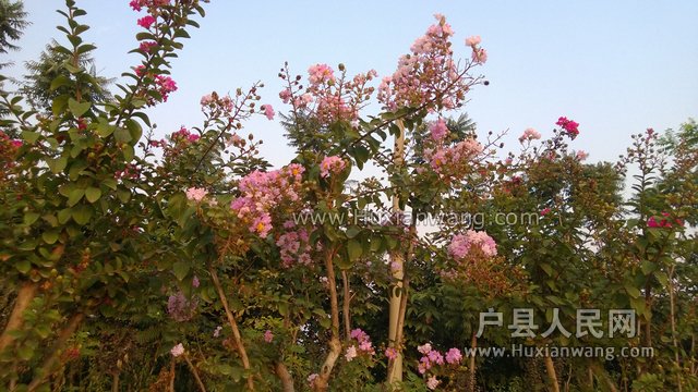 WP_20130901_015.jpg