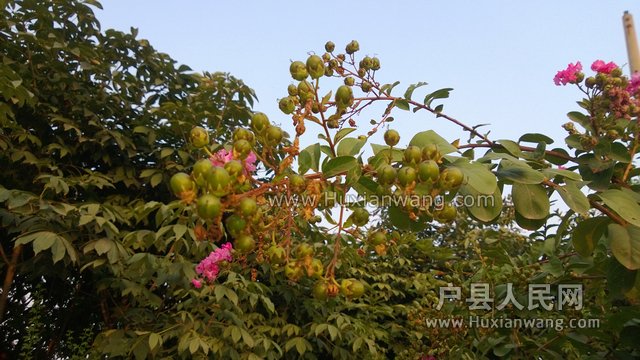 WP_20130901_018.jpg