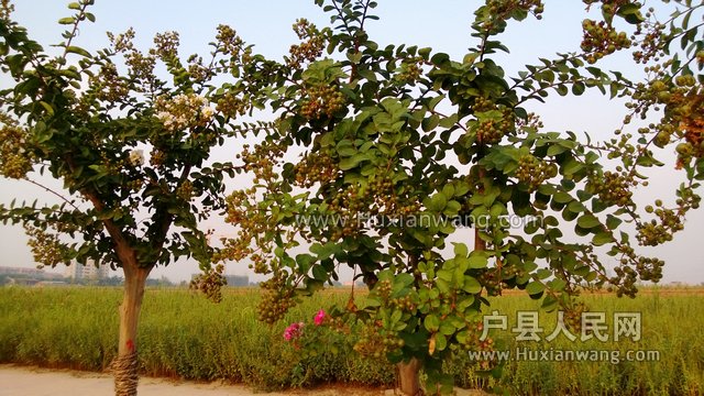 WP_20130901_023.jpg