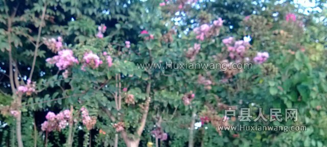 WP_20130913_010.jpg