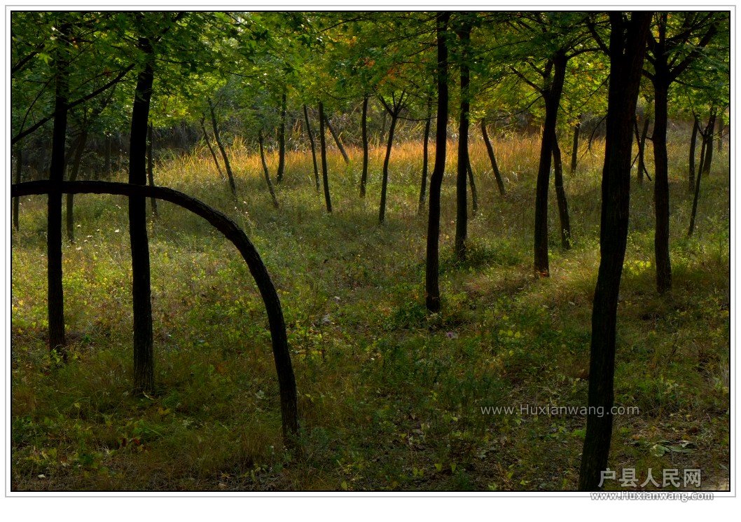conew_p1010594_conew1.jpg