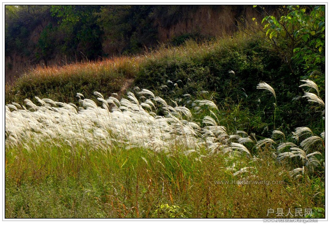 conew_p1010637_conew1.jpg