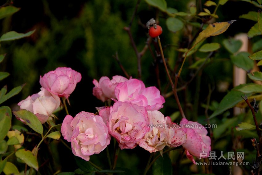 Ǿޱ (3).jpg