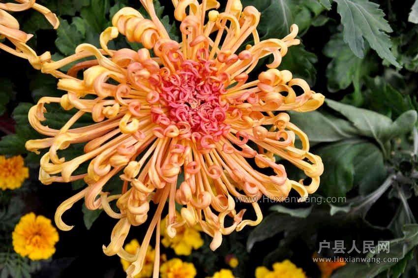 QQͼƬ20131028062631.jpg