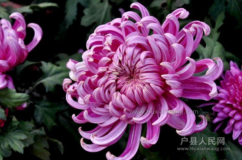 QQͼƬ20131028160127.jpg