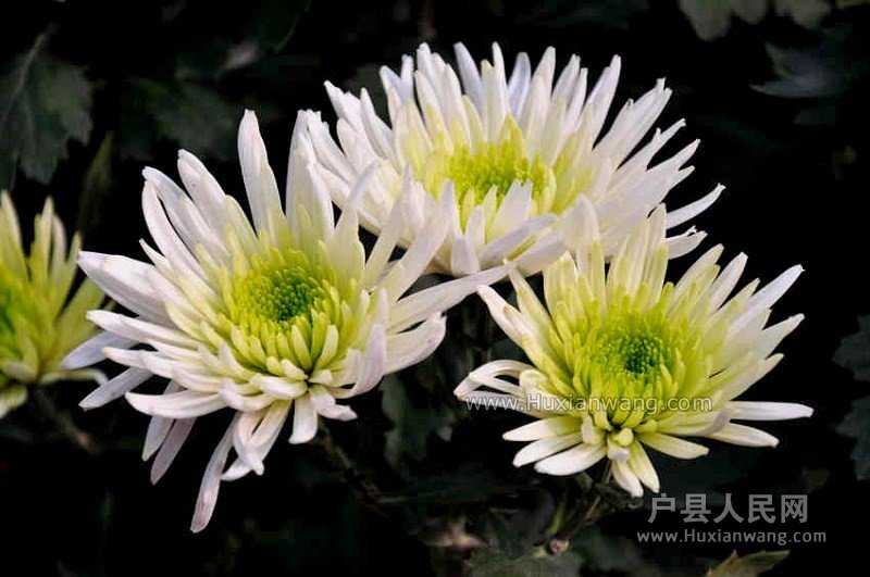 QQͼƬ20131028160203.jpg