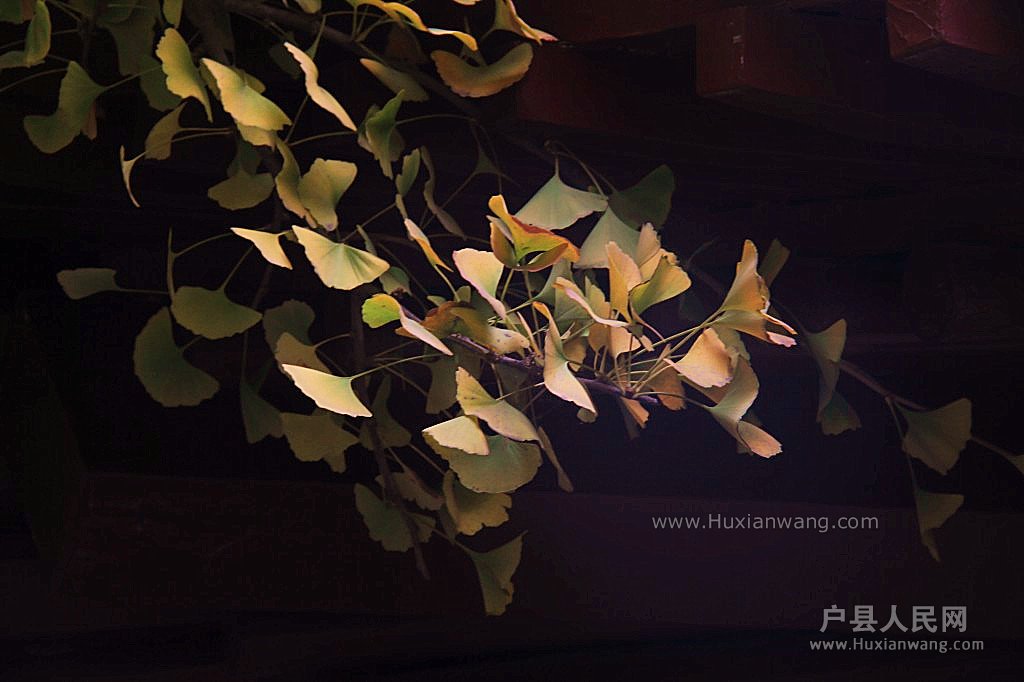 conew_img_9012_.jpg