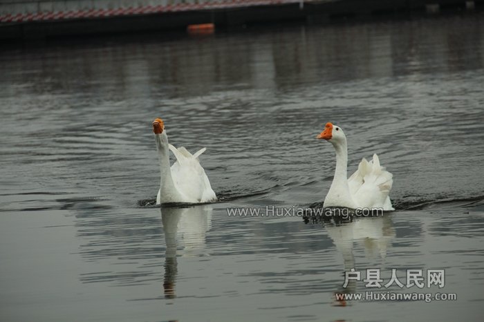 ǺƬ 097.jpg