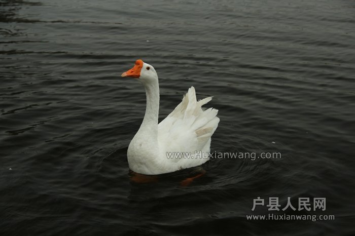 ǺƬ 103.jpg