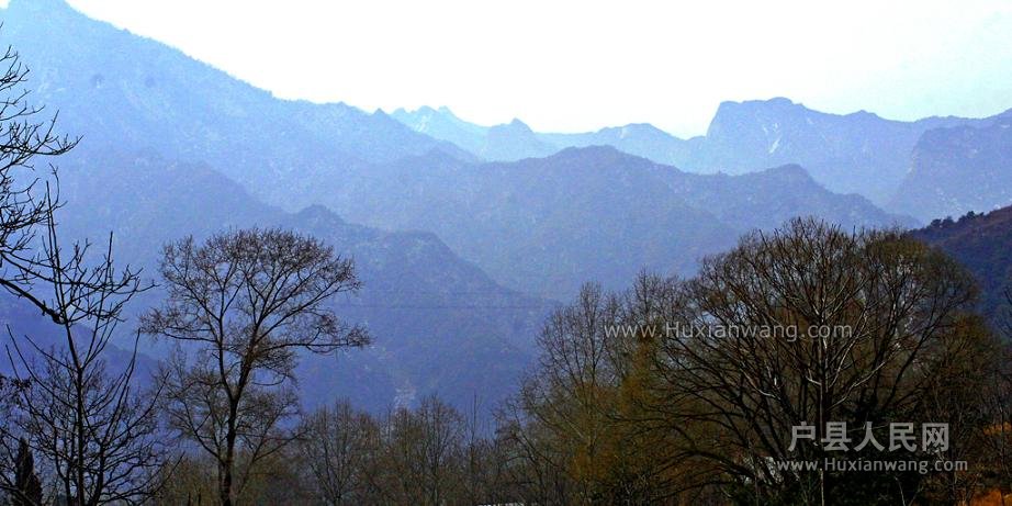 IMG_1786..jpg