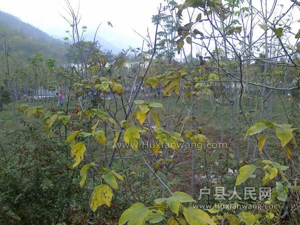 IMG1107122501.jpg