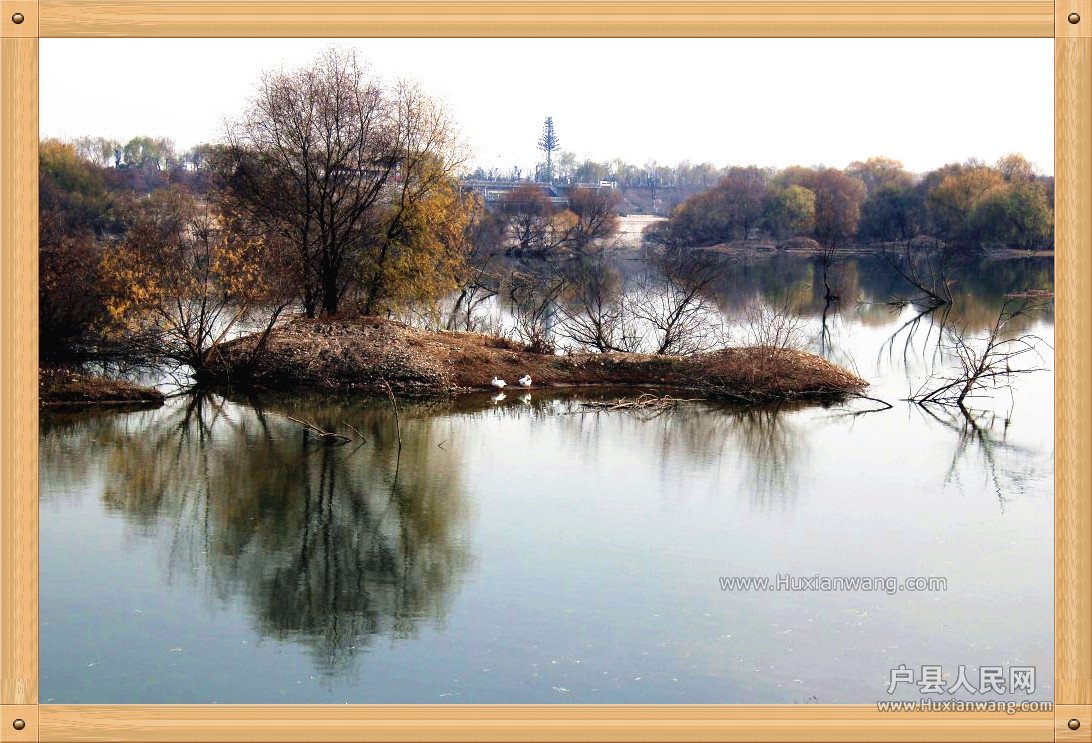 conew_img_0678_.jpg