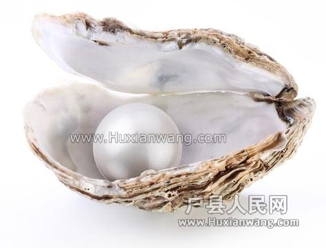 u=2225056405,3189022410&fm=23&gp=0.jpg